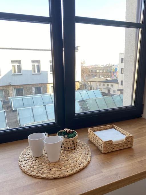 Warm And Light Loft Near Centre Apartament Wilno