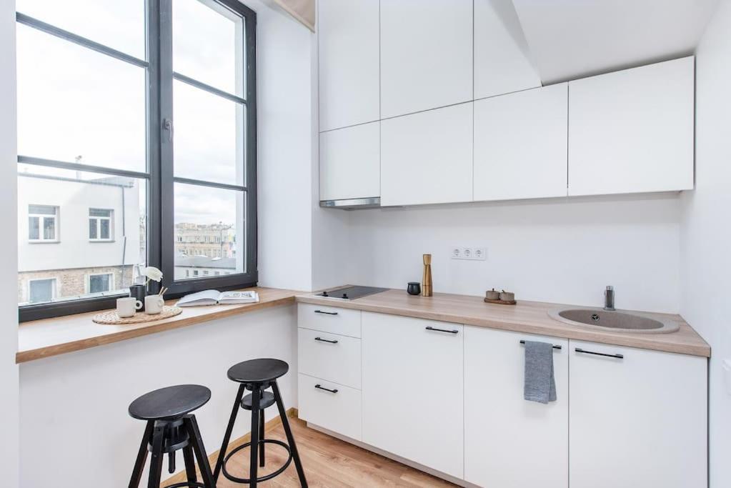 Warm And Light Loft Near Centre Wilno